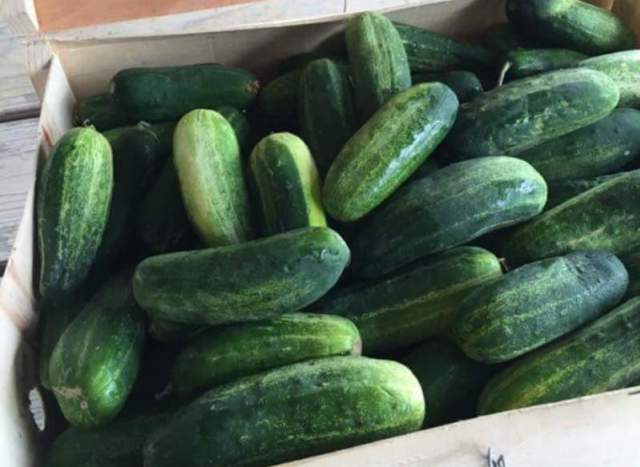 First Fridays at The Farm - Pickles and Preserves