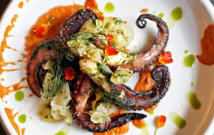 Charred grilled octopus with smoky red sauce, marinated artichokes, and fresh herbs at Primo by Melissa Kelly