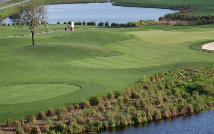 Course at Celebration Golf Club