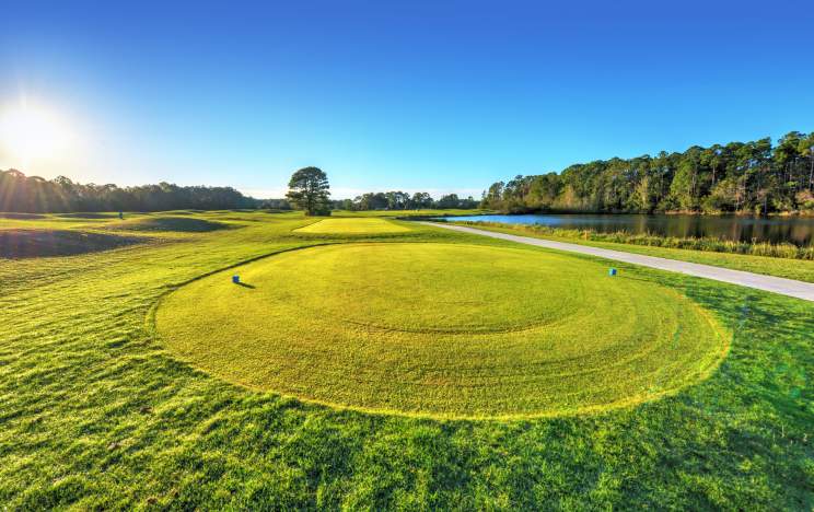 201532 - Cypress Head Golf Club