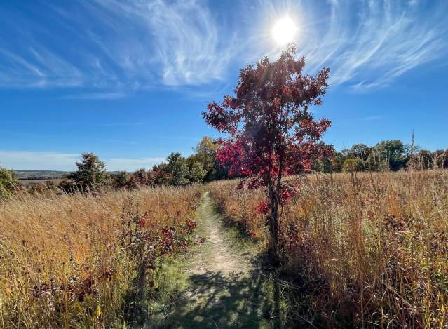 Ice Age Trail