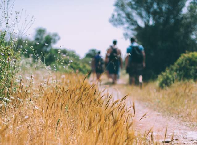 Hiking