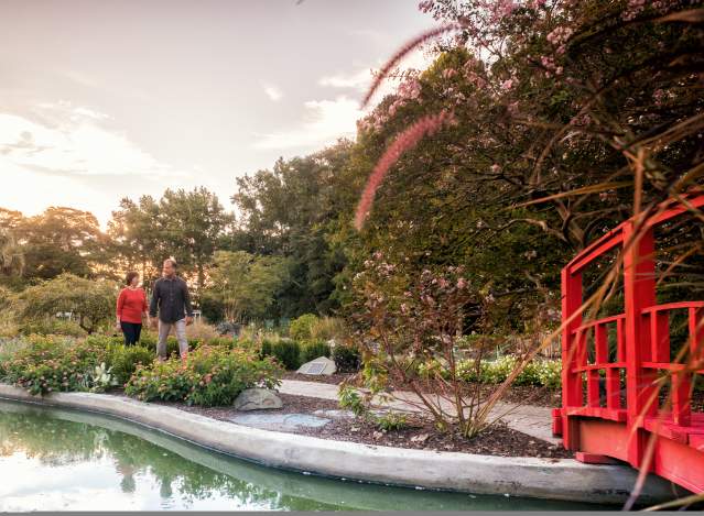 NHC Arboretum Ad Shoot not cropped