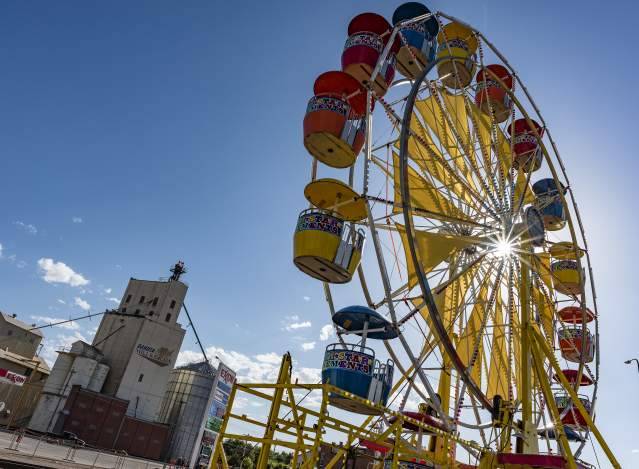 Black Hills Roundup