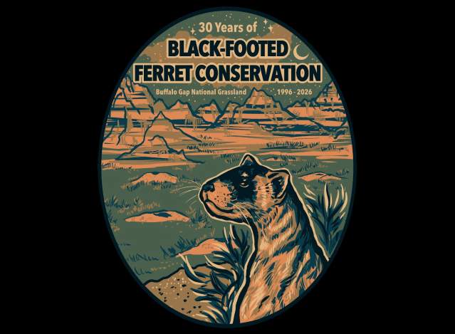 Black-footed Ferret: 30 Years of Conservation Celebration