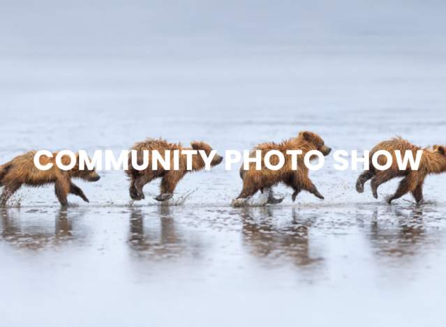 Community Photo Show: Call For Art