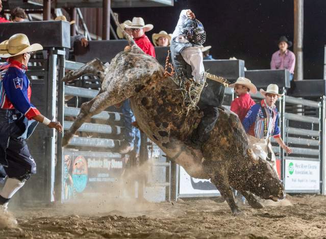 Wall Celebration Pro Rodeo