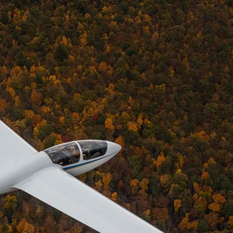 soaring