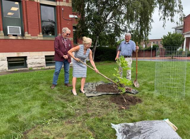 Community members planting a Liberty Tree descendant on the grounds of the Allegany County Courthouse in Cumberland, Maryland.