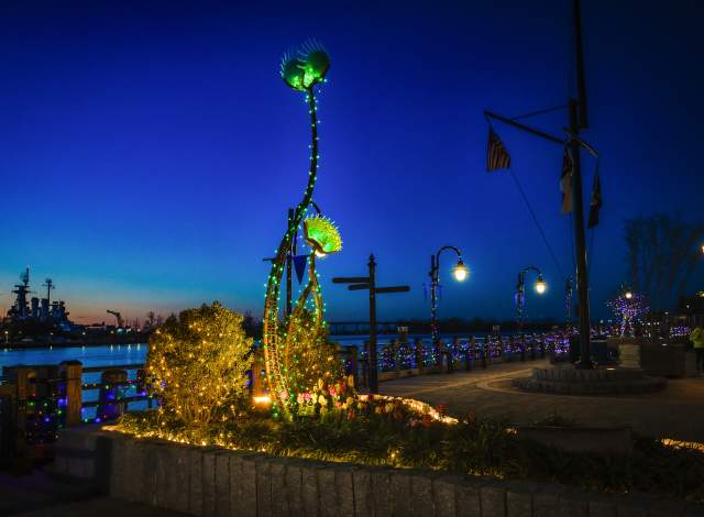 Adult Guide in Wilmington