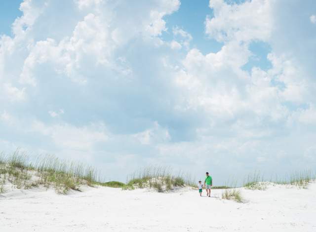 Masonboro Island header