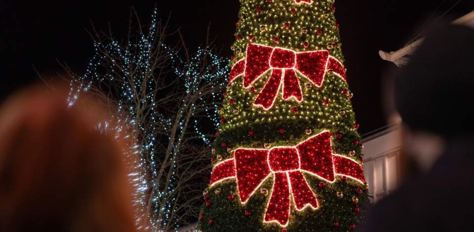 Southampton Christmas Market Christmas tree with big red bow lights