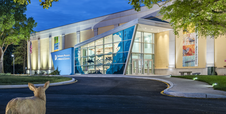 Delaware Museum of Nature and Science