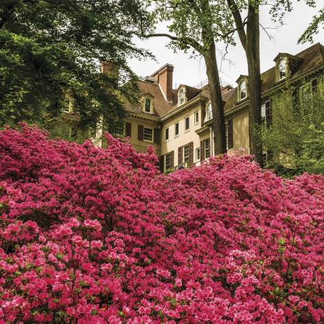 Winterthur Museum, Garden & Library