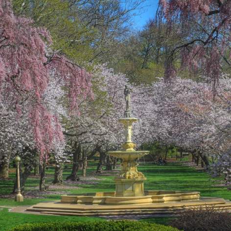 Wilmington State Parks - Brandywine Park