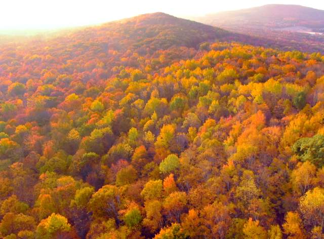 Fall, Rib Mtn (7)