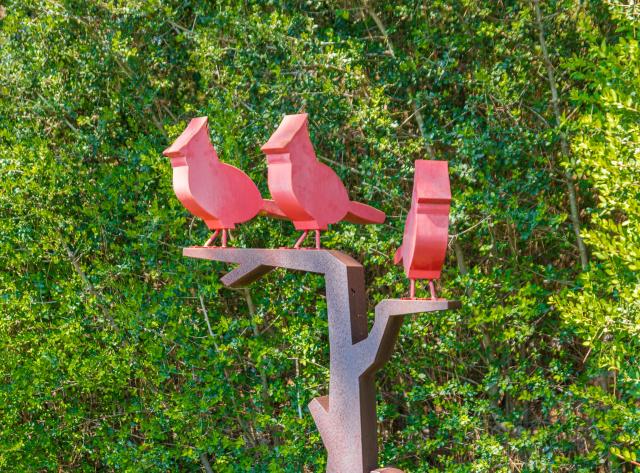 3 Cardinals in a Tree