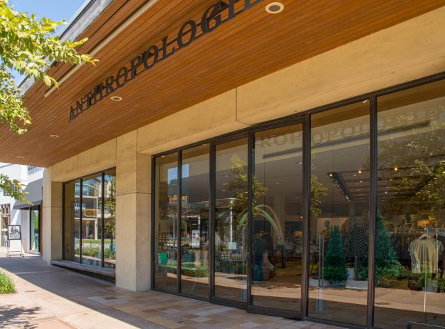 Anthropologie