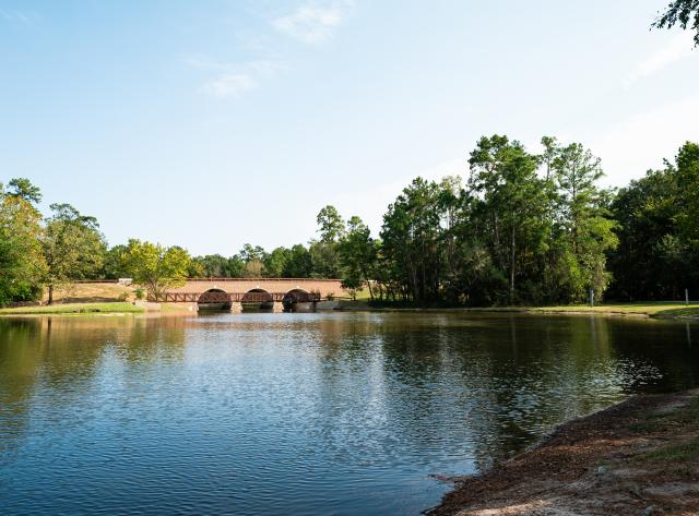 Pond at Alden Bridge Park