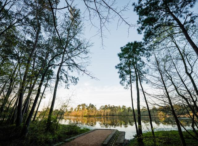 Lake