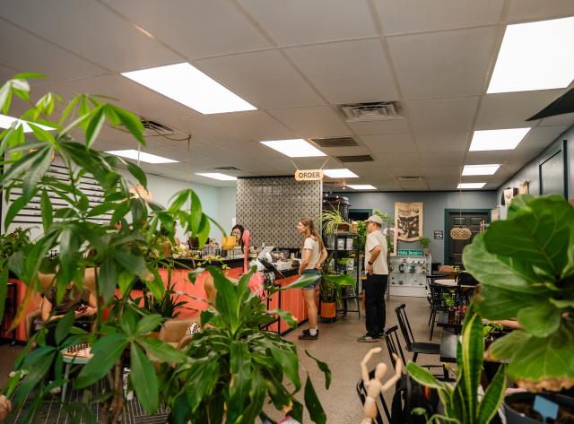 Conduit Coffee - Plants