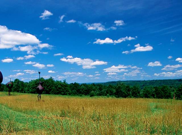 Griffis Sculpture Park