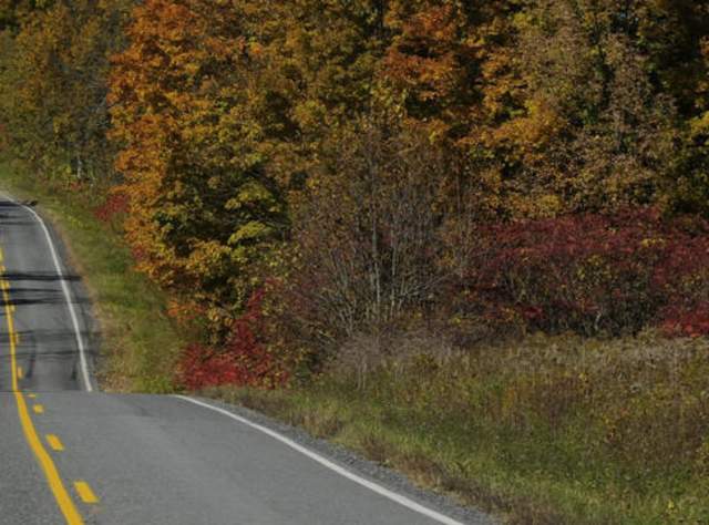 Country Road in Schoharie County page