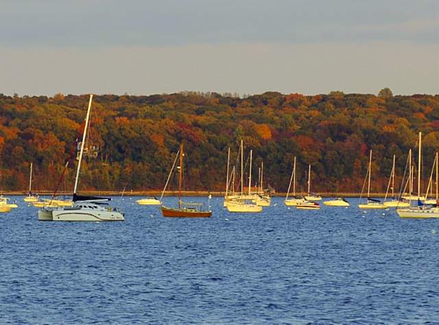 Oyster Bay page