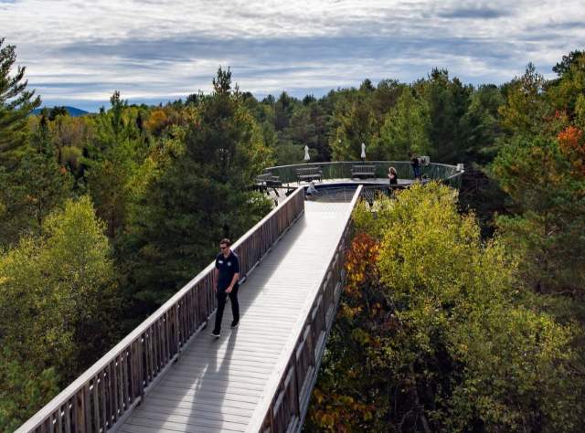 Wild Walk at The Wild Center, Tupper Lake page