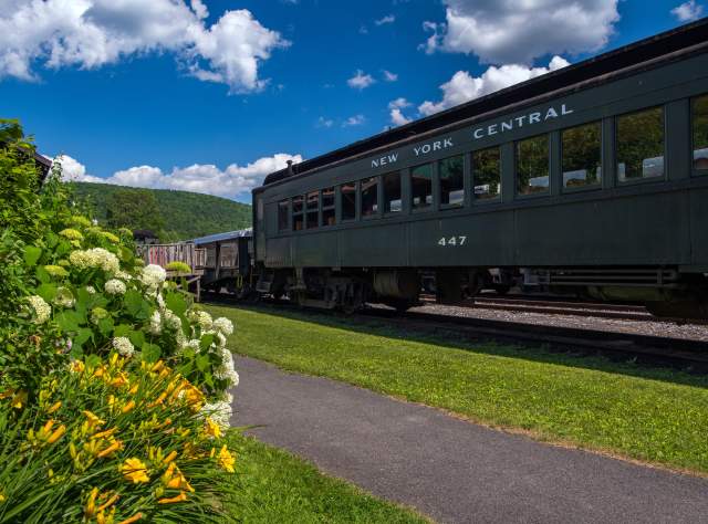 Delaware & Ulster Railroad, Arkville page