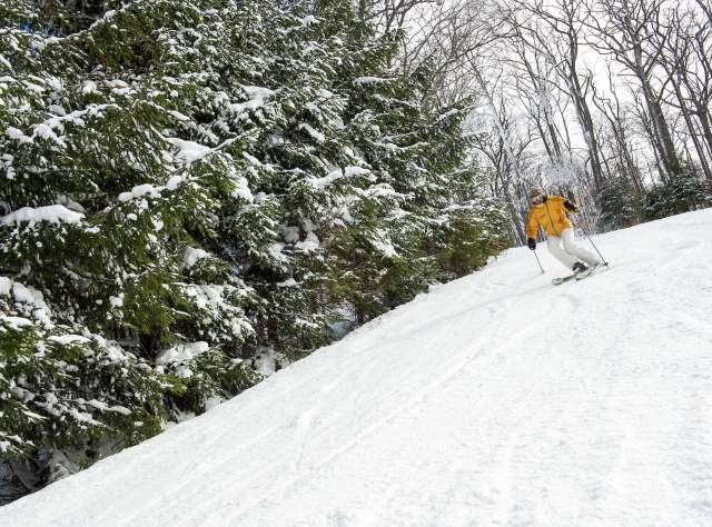 Holiday Valley Resort page