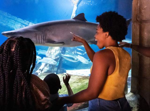 Long Island Aquarium page