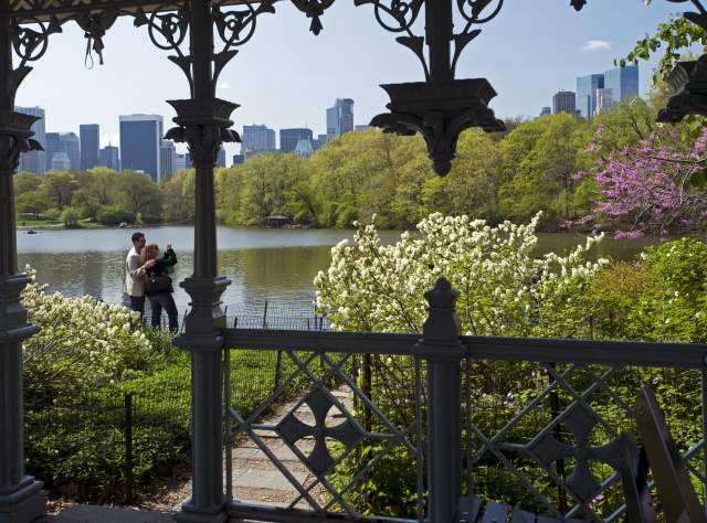 Central Park, NYC page