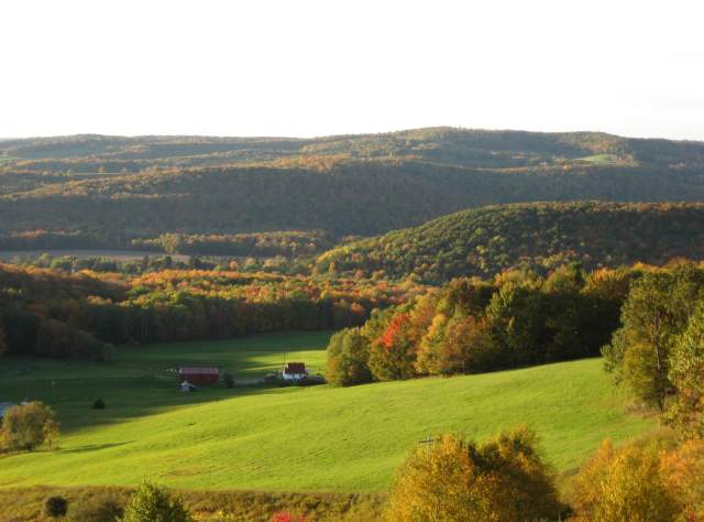 Pfeiffer Nature Center page