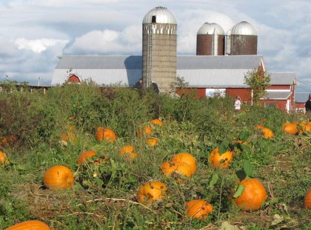 Ellms Family Farm page