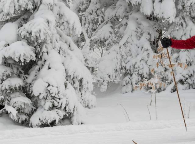 Events - Winter X Country Skiing