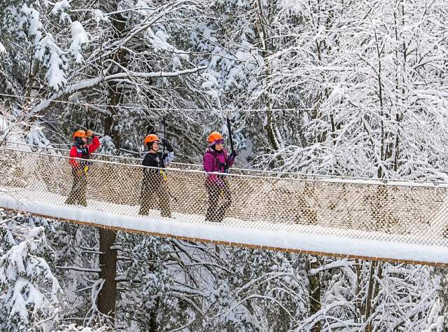 Bristol Mountain page