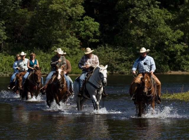 1000 Acres Ranch page