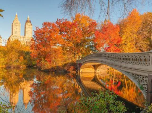 Central Park page