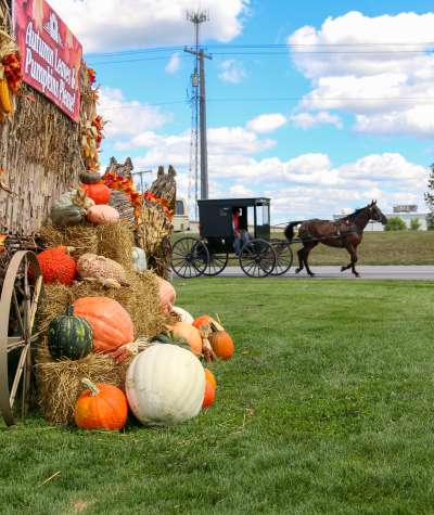 Shipshewana Fall Buggy Photo