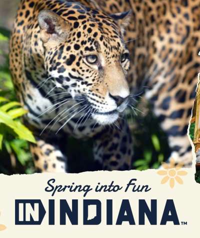 Spring into fun IN Indiana