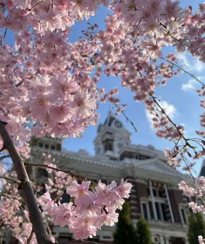 Festival Country | Franklin Courthouse in Bloom