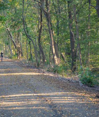Cyclist riding along a tree-lined gravel trail.