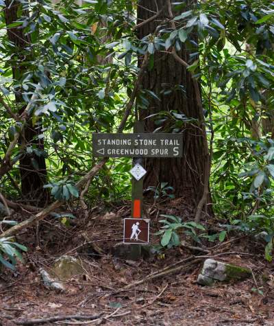 Directional sign for the Standing Stone Trail- Greenwood Spur in Alan Seeger Natural Area, Rothrock State Forest