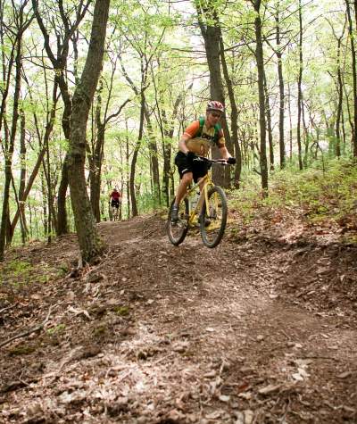 Biker on the Allegrippis Trails