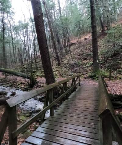 Rainy day hike at Trough Creek State Park