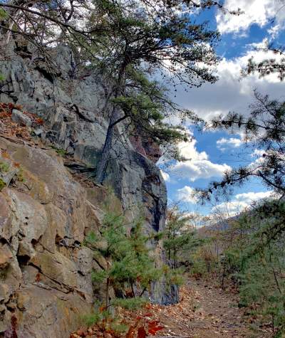 View along the Standing Stone Trail