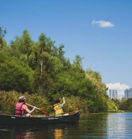 Things to do in bellevue: Mercer slough kayaking tour