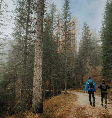 Winter Hikes in Bellevue, WA