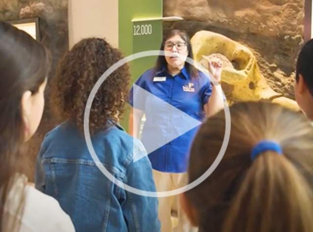 Tour guide with class at museum